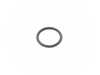 ES#2976931 - 07119907874 - O-RING - Genuine BMW - BMW