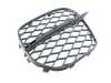 ES#1902947 - 51117222858 - OPEN GRID, RIGHT - Genuine BMW - BMW