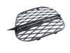 ES#1902947 - 51117222858 - OPEN GRID, RIGHT - Genuine BMW - BMW