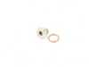 ES#4316504 - 11131742994 - Oil Drain Plug - Includes a new gasket ring. 12mm x 1.5mm - Bremmen Parts - BMW