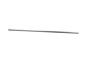 OUTER WEATHERSTRIP, LEFT