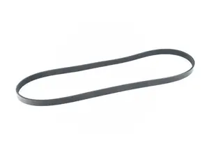Accessory Belt