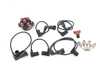 ES#2784415 - 94460225100KT - Ignition Service Kit - Includes everything you need to refresh your ignition system - Genuine Porsche - Porsche
