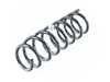 ES#4182762 - 31336794639 - FRONT COIL SPRING - Genuine BMW - 
