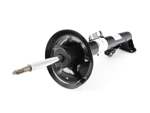 Strut Assembly - Right