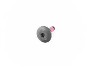 ES#17066 - 07147202808 - TORX BOLT - Genuine BMW - BMW