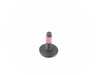 ES#17066 - 07147202808 - TORX BOLT - Genuine BMW - BMW