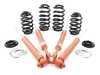 ES#3218951 - 1125 1135 - 1125 STR.T Suspension Kit - Features Eibach Sport Springs and Koni STR.T shocks for ultimate entry-level performance - Koni - Audi