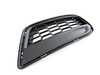 ES#2542750 - 51118048110 - GRID LATERAL RIGHT - Genuine BMW - BMW