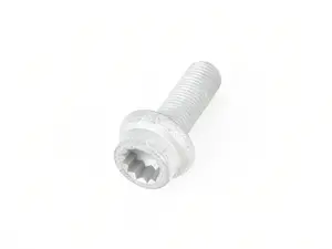 Caliper Mounting Bolt - Priced Each