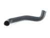 ES#3235149 - 11531713221 - Radiator Hose - Lower - Gates - BMW