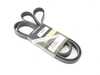 ES#4418773 - 059903137AG - Accessory Belt - (NO LONGER AVAILABLE) - Replace your cracked or worn belt - Mitsuboshi - 