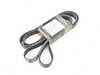 ES#4418773 - 059903137AG - Accessory Belt - (NO LONGER AVAILABLE) - Replace your cracked or worn belt - Mitsuboshi - 