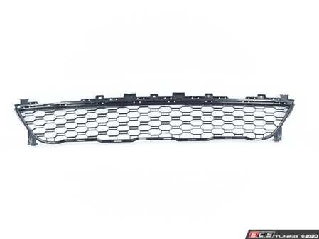 ES#4187528 - 51118069887 - GRILL, CENTER LOWER - Genuine BMW - BMW