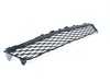 ES#4187528 - 51118069887 - GRILL, CENTER LOWER - Genuine BMW - BMW