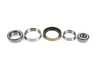 ES#4389996 - 1243300551 - Wheel Bearing Kit - SKF - 