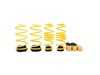 ES#4430643 - 273800CJ - ST Adjustable Lowering Springs - Allows individual ride height adjustment at each corner of your vehicle - Make your stock suspension height adjustable, without compromise! - Suspension Techniques - Audi Volkswagen