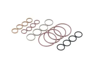 ECS S62 VANOS Seal Kit