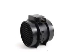 Mass Air Flow Sensor (MAF)