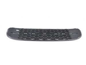 ES#2101930 - 51117248789 - GRILL, CENTER LOWER - Genuine MINI - MINI