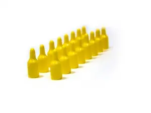 Fuel injector and fuel supply rail caps