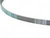 ES#2678964 - 11287631819 - RIBBED V-BELT - Genuine BMW - 