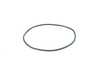 ES#3349680 - 9G130789000 - O-RING SEAL - Genuine Porsche - 