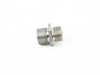 ES#2919698 - 11428524836 - THREADED PIPE JOINT - Genuine BMW - BMW