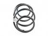 ES#2578123 - 31336851718 - Front Coil Spring - Replace your cracked springs - Genuine BMW - BMW