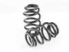 ES#4872520 - S-36-BR - BR Series Coilover Suspension Kit - Featuring 30 levels of adjustment and performance spring rates and valving - BC Racing - Audi