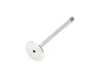 ES#4265327 - 021109611G - Exhaust Valve - Priced Each - Exhaust Valve - Priced Each - AE - Volkswagen