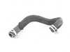 ES#4175440 - 2602030000 - Engine Coolant Hose - Outlet Hose - Thermostat to Oil Cooler - Genuine Mercedes Benz - Mercedes Benz