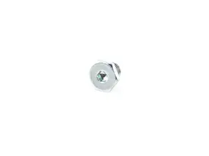 Oil Drain Plug