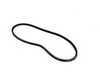 ES#1970504 - 99919223650 - Power Steering Belt - 10 x 950mm - Continental - Porsche