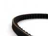 ES#1970504 - 99919223650 - Power Steering Belt - 10 x 950mm - Continental - Porsche