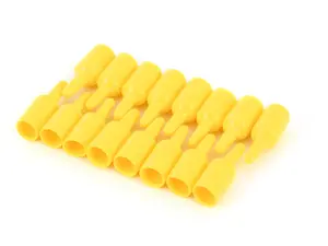 Fuel injector and fuel supply rail caps