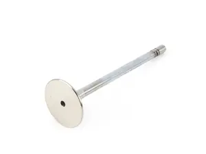 Intake Valve - Priced Each