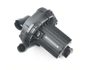 Secondary Air Pump