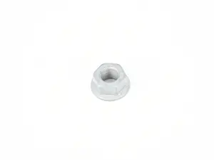 HEX NUT