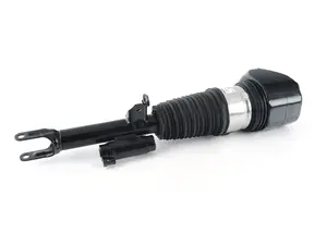 Front Right Air Strut