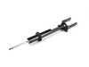 ES#3580856 - 164320013064 - Front Strut Assembly - Priced Each - Fits left or right side - Genuine Mercedes Benz - Mercedes Benz