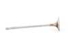 ES#2570380 - 04E109601B - Intake Valve - Priced Each - Replacement Intake Valve - Genuine Volkswagen Audi - Volkswagen