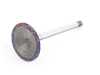 ES#22634 - 11341257592 - Intake Valve (46 mm) (8 mm Stem) - Genuine BMW - BMW