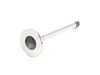 ES#22837 - 11341710788 - Exhaust Valve (38 mm) (8 mm Stem) - Genuine BMW - BMW