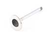ES#22837 - 11341710788 - Exhaust Valve (38 mm) (8 mm Stem) - Genuine BMW - BMW