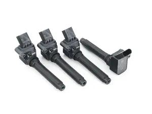 Ignition Coils - Set Of Four 