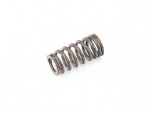 ES#2832884 - 11348603911 - VALVE SPRING - Genuine BMW - BMW MINI