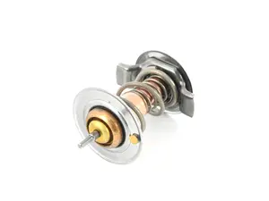 160F Low Temperature Thermostat - Insert Only