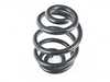 ES#4135342 - 4208434 - Rear Coil Spring - Replace your cracked springs - Lesjofors - BMW