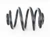 ES#4135342 - 4208434 - Rear Coil Spring - Replace your cracked springs - Lesjofors - BMW